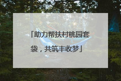 助力帮扶村桃园套袋，共筑丰收梦
