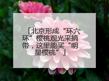 北京形成“环六环”樱桃观光采摘带，这里能买“明星樱桃”