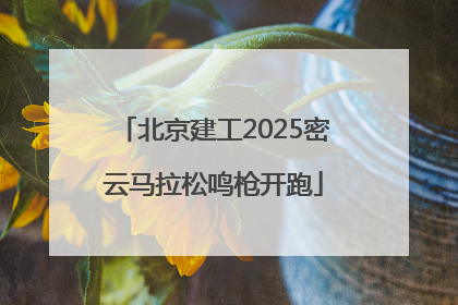 北京建工2025密云马拉松鸣枪开跑