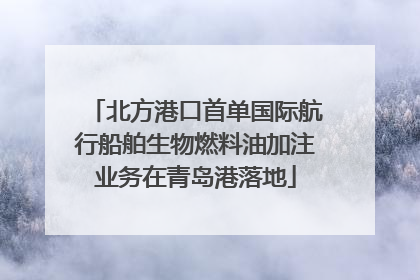 北方港口首单国际航行船舶生物燃料油加注业务在青岛港落地