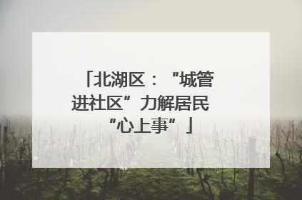 北湖区：“城管进社区”力解居民“心上事”