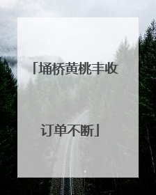 埇桥黄桃丰收 订单不断
