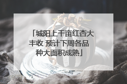 城阳上千亩红杏大丰收 预计下周各品种大面积成熟