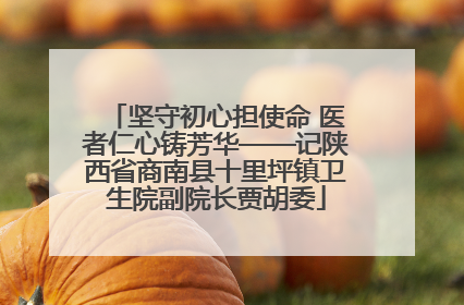 坚守初心担使命 医者仁心铸芳华——记陕西省商南县十里坪镇卫生院副院长贾胡委