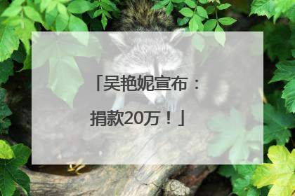 吴艳妮宣布：捐款20万！