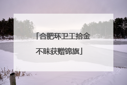 合肥环卫工拾金不昧获赠锦旗