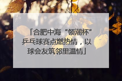 合肥中海“领潮杯”乒乓球赛点燃热情，以球会友筑邻里温情