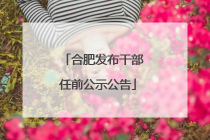 合肥发布干部任前公示公告