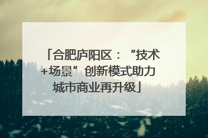 合肥庐阳区：“技术+场景”创新模式助力城市商业再升级