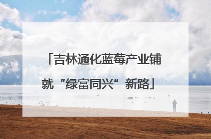 吉林通化蓝莓产业铺就“绿富同兴”新路