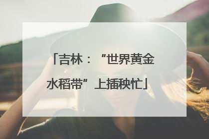 吉林：“世界黄金水稻带”上插秧忙