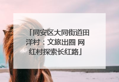 同安区大同街道田洋村：文旅出圈 网红村探索长红路