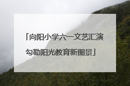 向阳小学六一文艺汇演勾勒阳光教育新图景