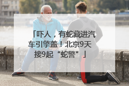 吓人，有蛇藏进汽车引擎盖！北京9天接9起“蛇警”