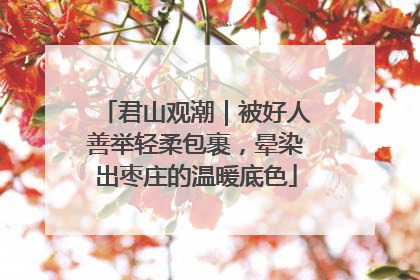 君山观潮｜被好人善举轻柔包裹，晕染出枣庄的温暖底色