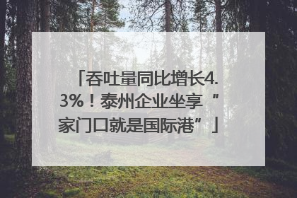 吞吐量同比增长4.3%！泰州企业坐享“家门口就是国际港”
