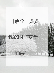 唐全：龙龙铁路的“安全哨兵”