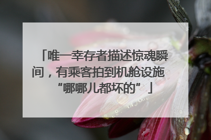 唯一幸存者描述惊魂瞬间，有乘客拍到机舱设施“哪哪儿都坏的”