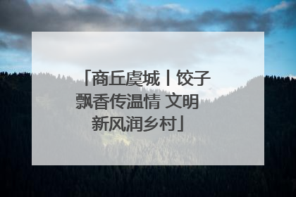 商丘虞城丨饺子飘香传温情 文明新风润乡村