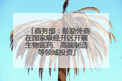 商务部：鼓励外商在国家级经开区开展生物医药、高端制造等领域投资