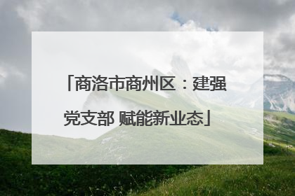 商洛市商州区：建强党支部 赋能新业态