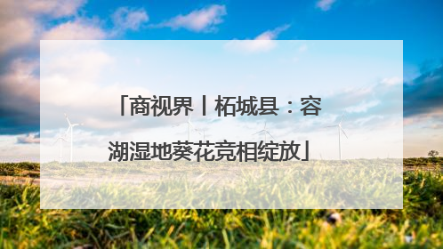 商视界丨柘城县：容湖湿地葵花竞相绽放