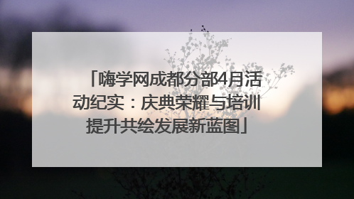 嗨学网成都分部4月活动纪实：庆典荣耀与培训提升共绘发展新蓝图