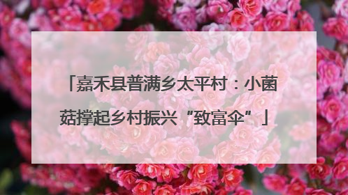 嘉禾县普满乡太平村：小菌菇撑起乡村振兴“致富伞”