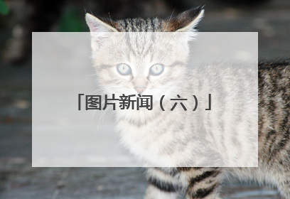 图片新闻（六）