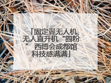固定翼无人机、无人直升机“圈粉” 西博会成都馆科技感满满