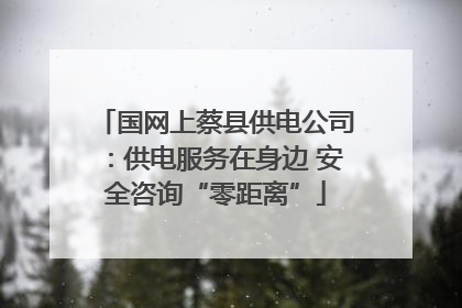 国网上蔡县供电公司：供电服务在身边 安全咨询“零距离”