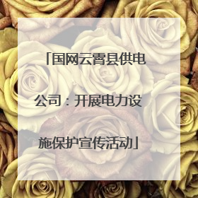 国网云霄县供电公司：开展电力设施保护宣传活动