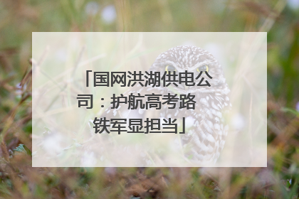 国网洪湖供电公司：护航高考路 铁军显担当
