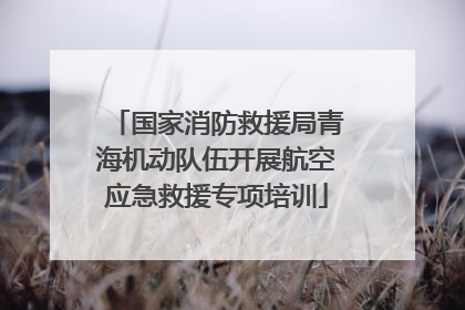 国家消防救援局青海机动队伍开展航空应急救援专项培训