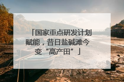 国家重点研发计划赋能，昔日盐碱滩今变“高产田”
