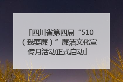 四川省第四届“510（我要廉）”廉洁文化宣传月活动正式启动