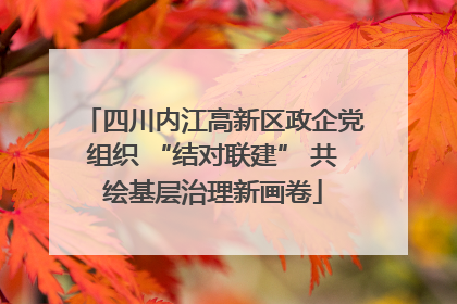四川内江高新区政企党组织 “结对联建” 共绘基层治理新画卷
