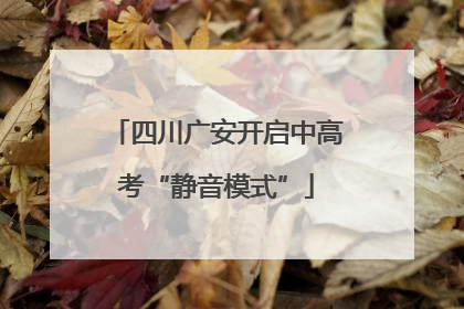 四川广安开启中高考“静音模式”