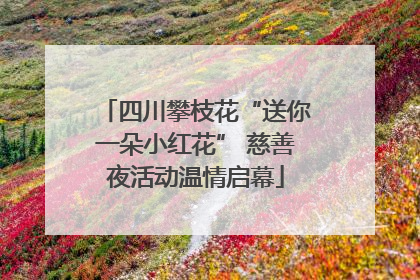四川攀枝花“送你一朵小红花” 慈善夜活动温情启幕