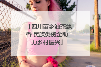四川苗乡油茶飘香 民族类资金助力乡村振兴