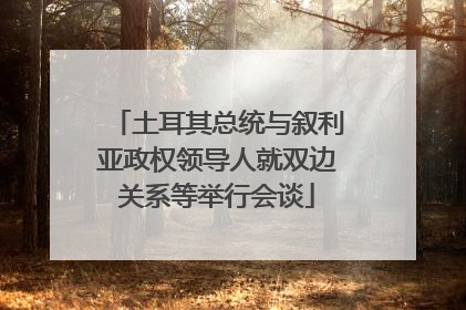 土耳其总统与叙利亚政权领导人就双边关系等举行会谈