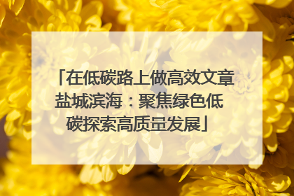 在低碳路上做高效文章 盐城滨海：聚焦绿色低碳探索高质量发展