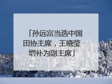 孙远富当选中国田协主席，王晓莹增补为副主席