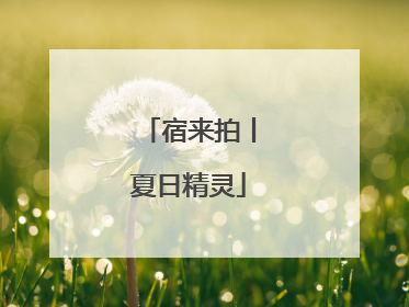 宿来拍丨夏日精灵