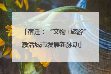 宿迁：“文物+旅游”激活城市发展新脉动