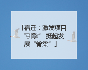 宿迁：激发项目“引擎” 挺起发展“脊梁”