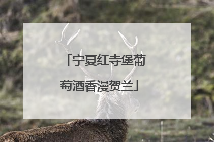 宁夏红寺堡葡萄酒香漫贺兰