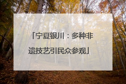 宁夏银川：多种非遗技艺引民众参观