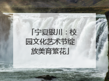 宁夏银川：校园文化艺术节绽放美育繁花