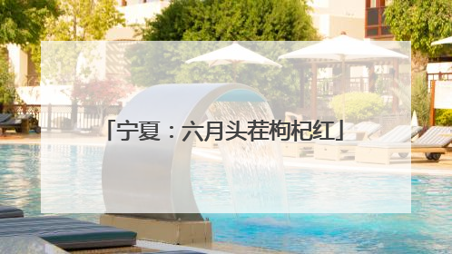 宁夏：六月头茬枸杞红
